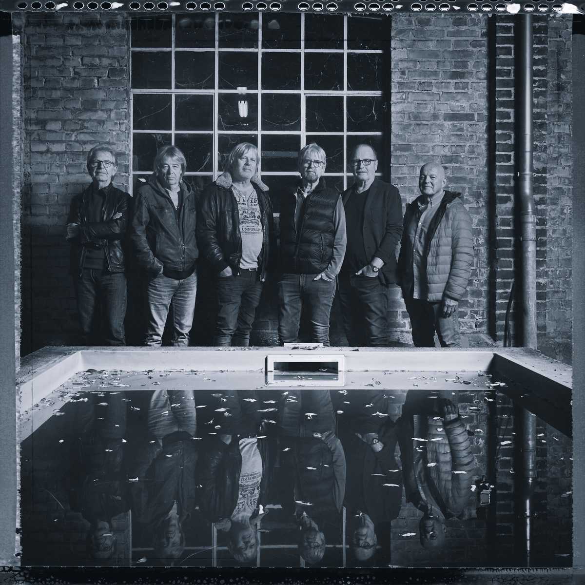 The Fossils
