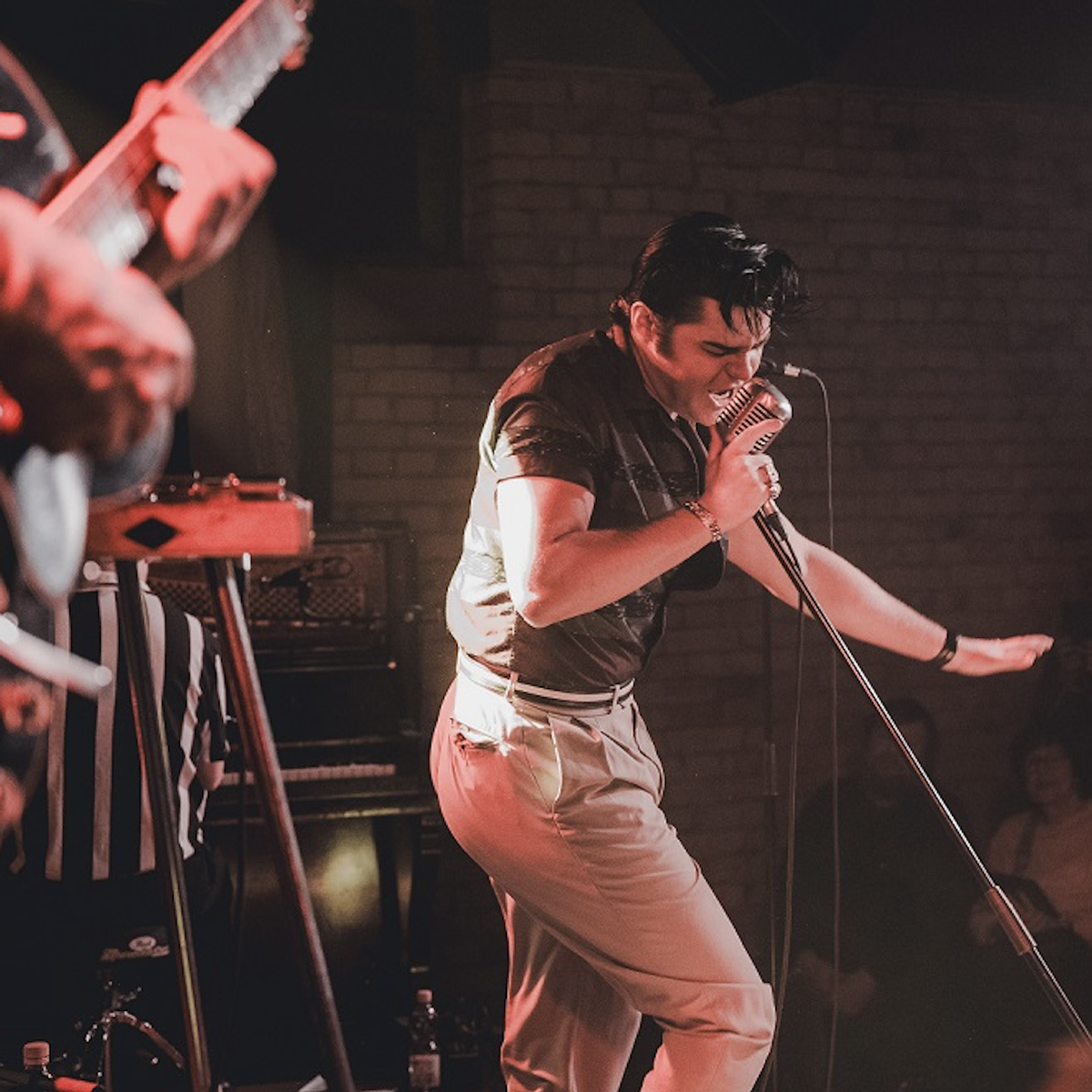 The Elvis Presley Show